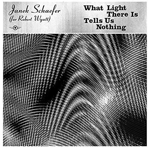 WHAT LIGHT THERE IS TELLS US NOTHING