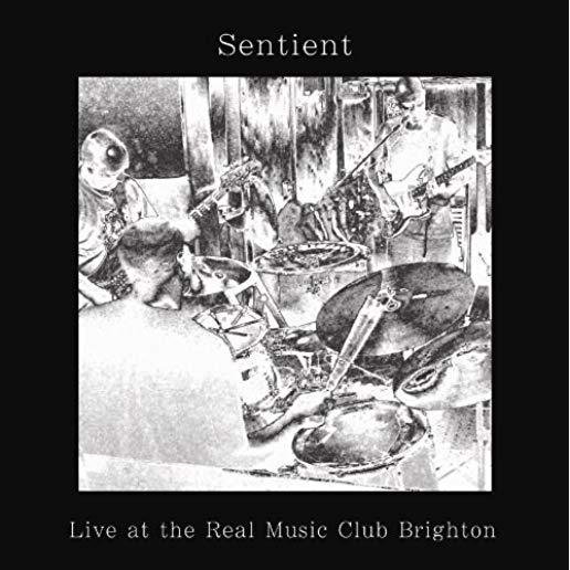 LIVE AT THE REAL MUSIC CLUB BRIGHTON (UK)
