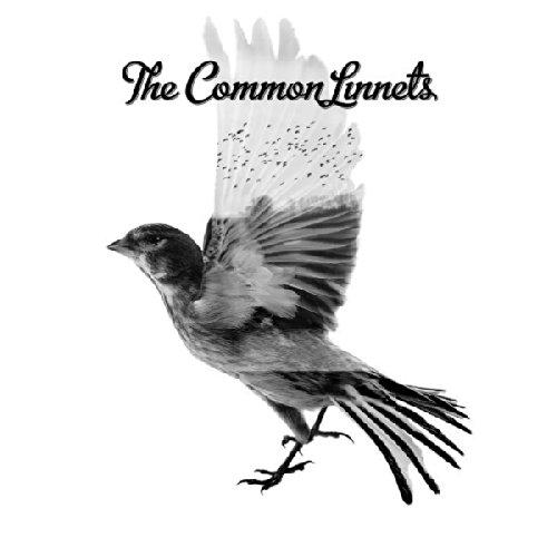 COMMON LINNETS (UK)