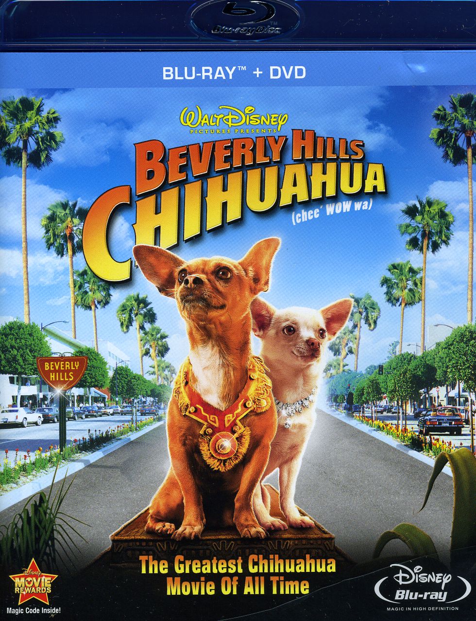 BEVERLY HILLS CHIHUAHUA (2PC) (W/DVD) / (AC3 DOL)