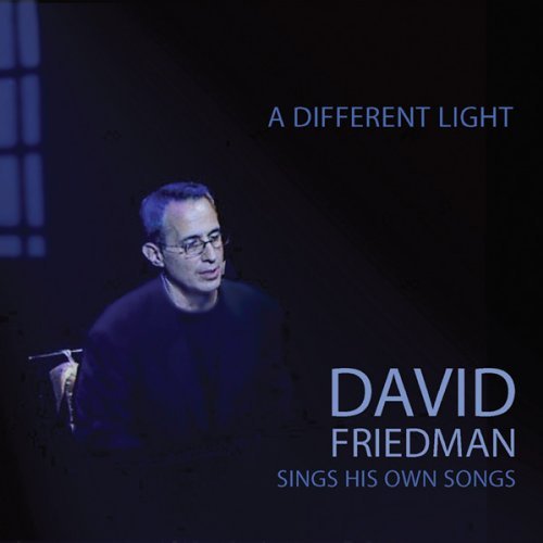DIFFERENT LIGHT: DAVID FRIEDMAN SINGS HIS OWN
