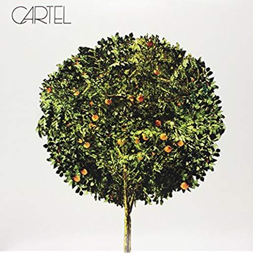 CARTEL (GOL) (OGV)