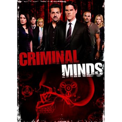 CRIMINAL MINDS: THE EIGHTH SEASON (6PC) / (BOX WS)