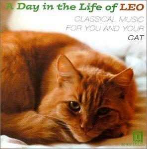 DAY IN THE LIFE OF LEO: CLASSICAL FOR CAT / VAR