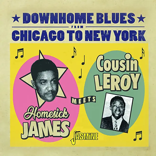 DOWNHOME BLUES FROM CHICAGO TO NEW YORK (UK)