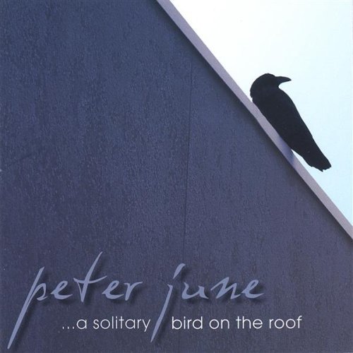 SOLITARY BIRD ON THE ROOF