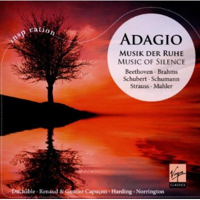 ADAGIO: MUSIC OF SILENCE / VARIOUS