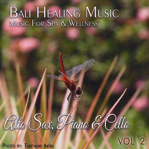 BALI HEALING MUSIC 2 (CDRP)