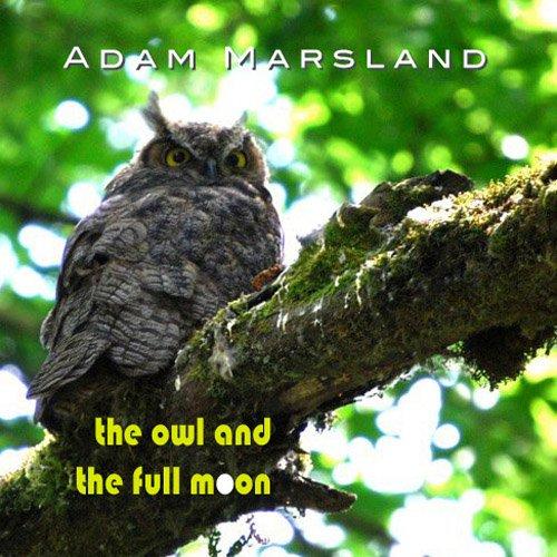 OWL & THE FULL MOON