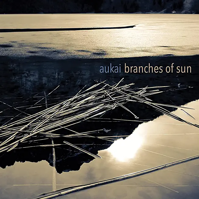 BRANCHES OF SUN (UK)