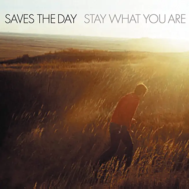 STAY WHAT YOU ARE (10IN) (BRWN) (COLV) (LTD)