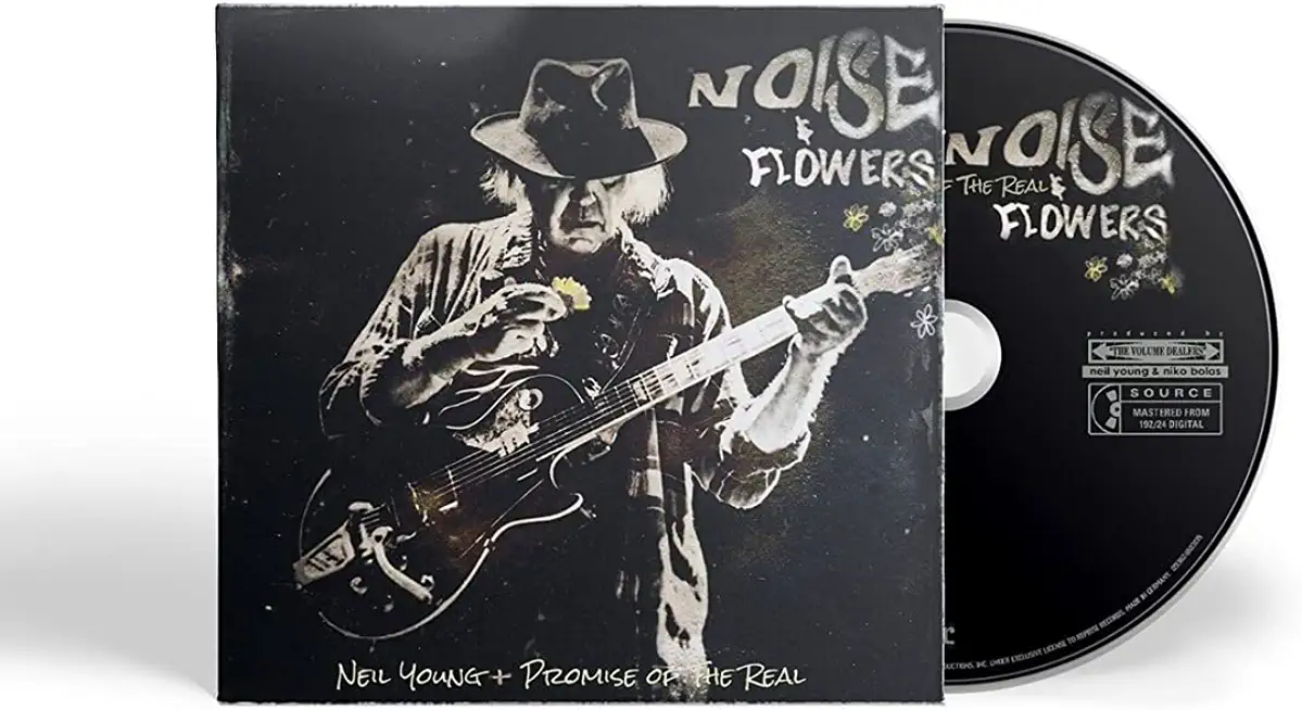 NOISE AND FLOWERS