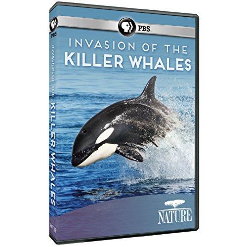 NATURE: INVASION OF THE KILLER WHALES