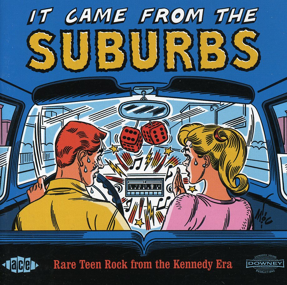 IT CAME FROM THE SUBURBS: RARE TEEN ROCK / VARIOUS