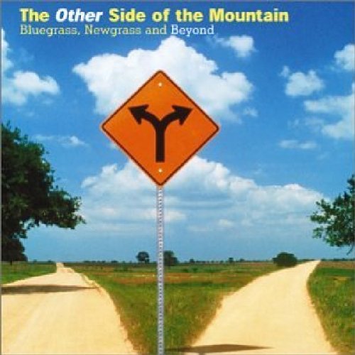 OTHER SIDE OF THE MOUNTAIN / VARIOUS