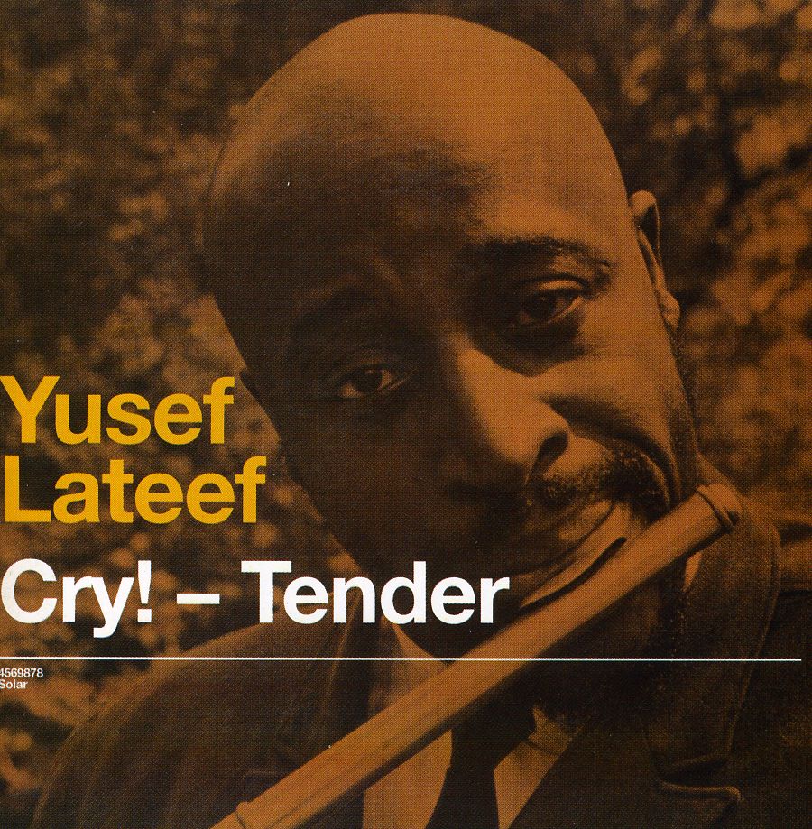 CRY TENDER / LOST IN SOUND