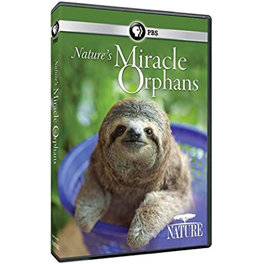NATURE: NATURE'S MIRACLE ORPHANS