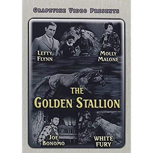 GOLDEN STALLION (1927) (SILENT)