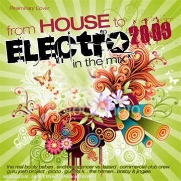 FROM HOUSE TO ELECTRO: IN THE MIX / VARIOUS