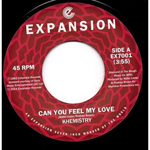 CAN YOU FEEL MY LOVE/WHATEVER IT TAKES (UK)