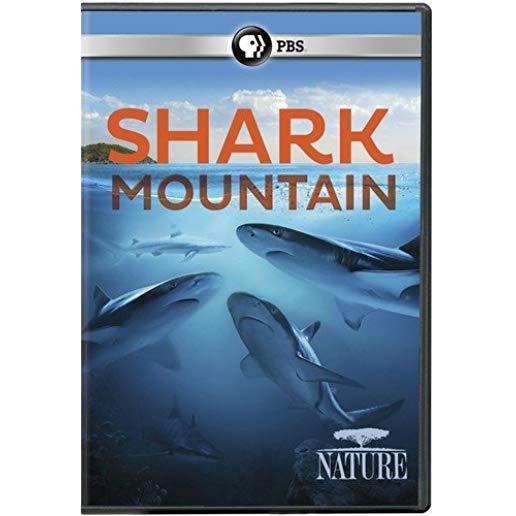 NATURE: SHARK MOUNTAIN