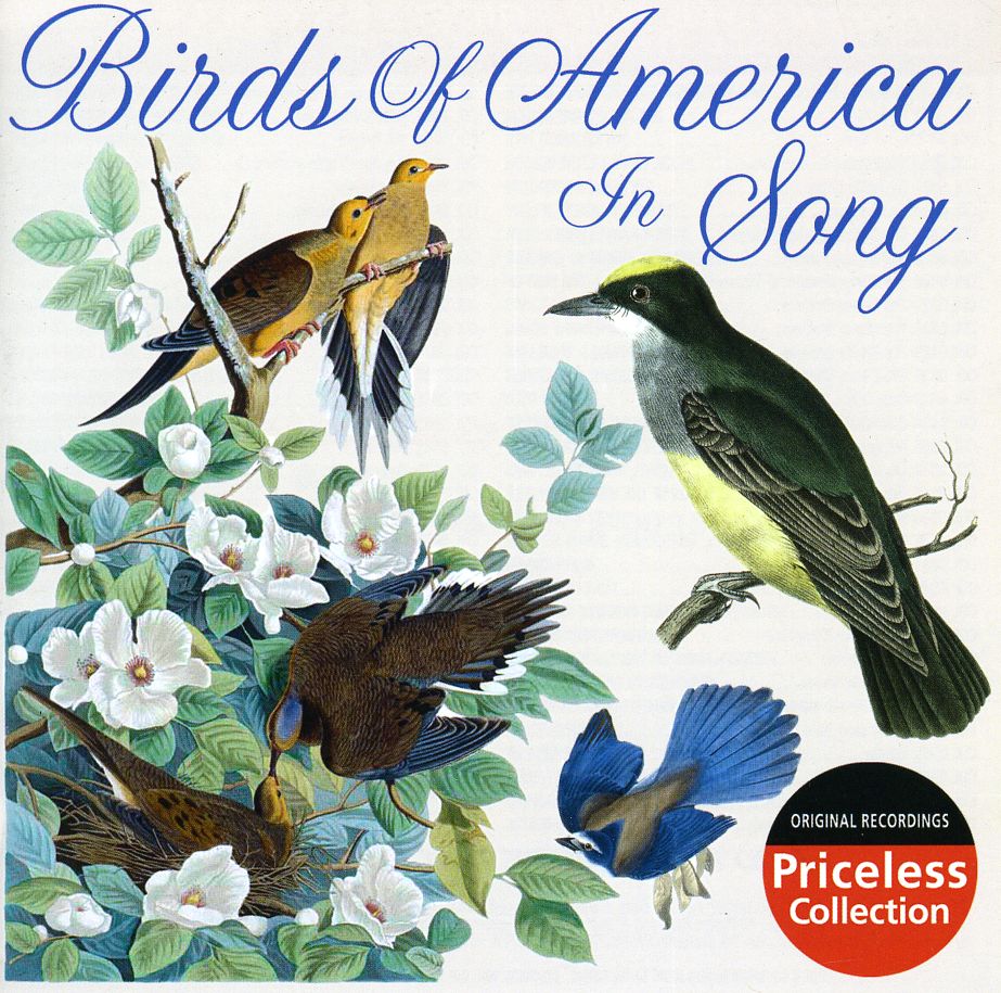 BIRDS OF AMERICA IN SONG / VARIOUS