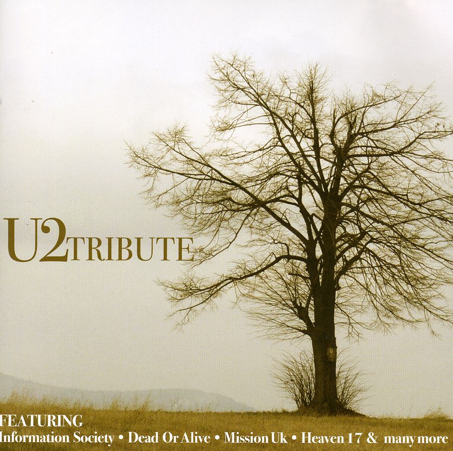 U2 TRIBUTE (ARG)