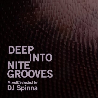 DEEP INTO NITE GROOVES: MIXED BY DJ SPIN / VAR