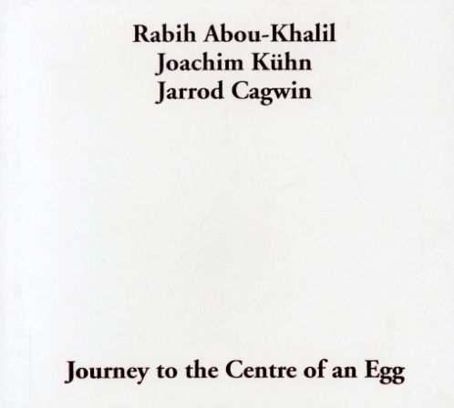 JOURNEY TO THE CENTRE OF AN EGG (DIG)