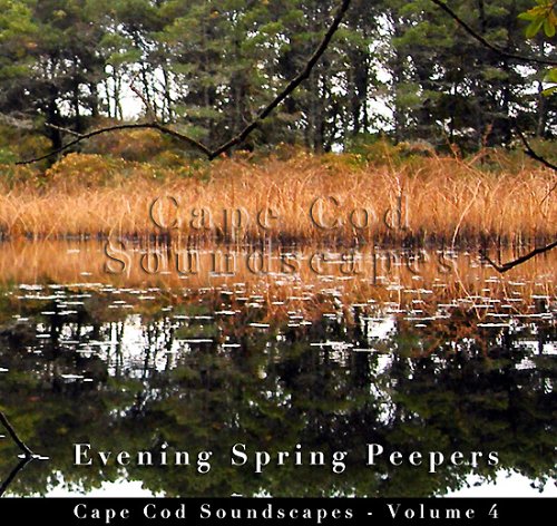 CAPE COD SOUNDSCAPES: EVENING SPRING PEEPER 4