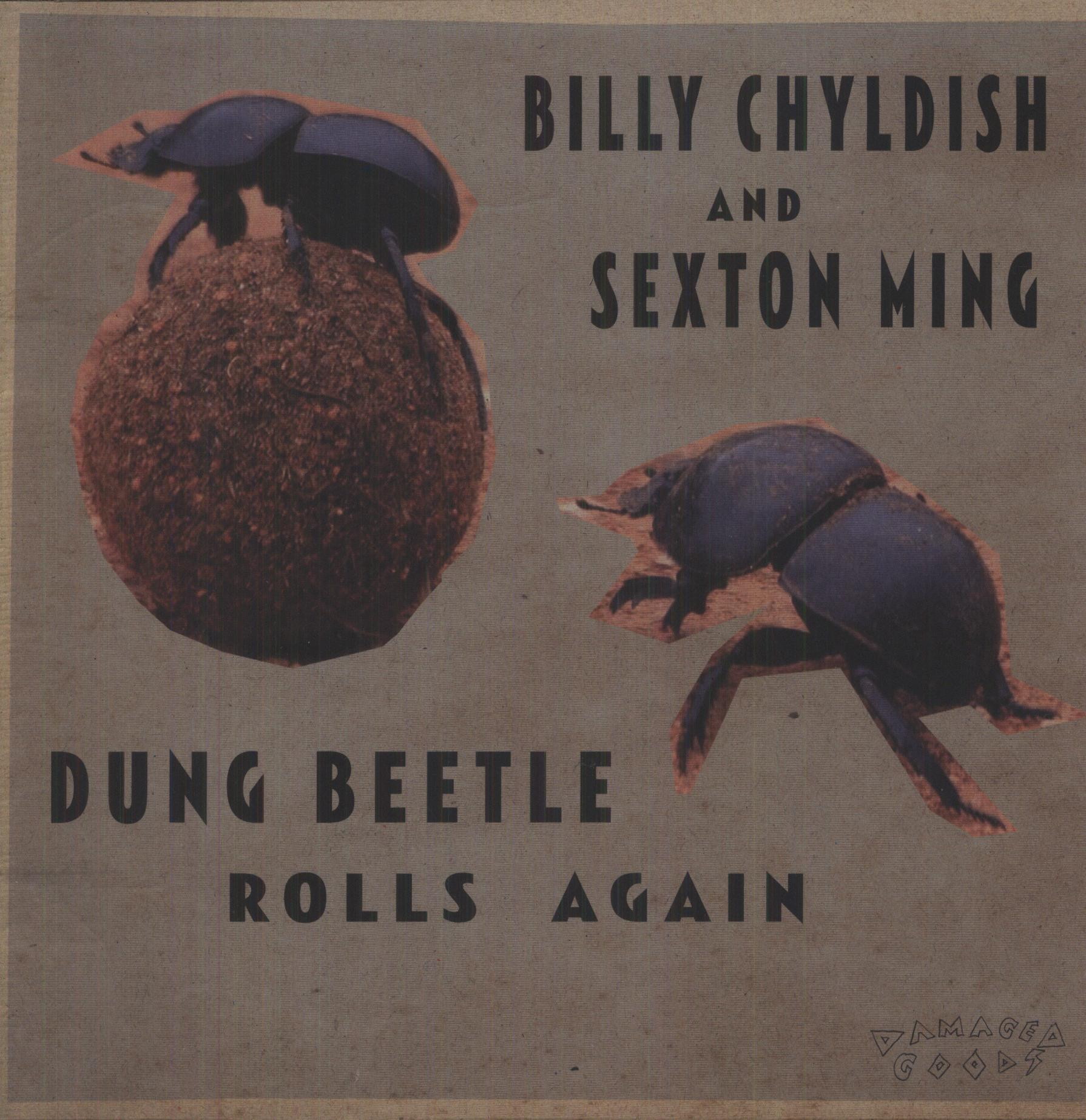 DUNG BEETLE ROLLS AGAIN
