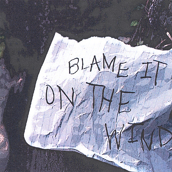 BLAME IT ON THE WIND