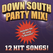 DOWN SOUTH PARTY MIX / VARIOUS