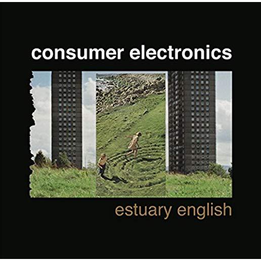ESTUARY ENGLISH (W/CD)