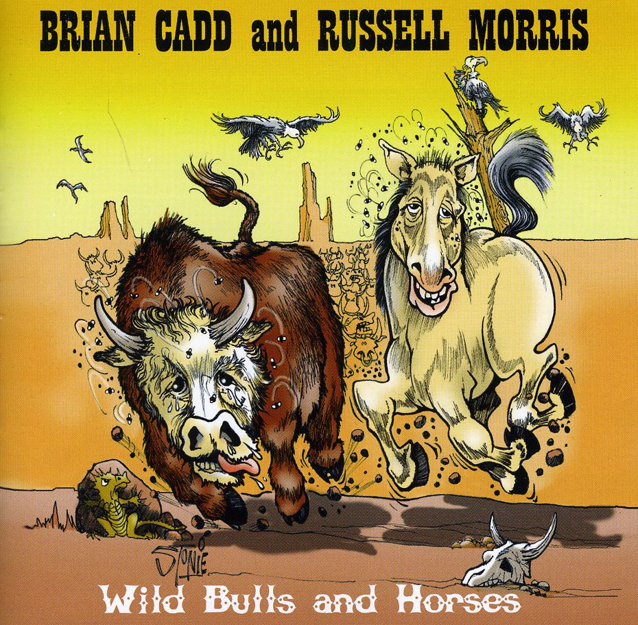 WILD BULLS & HORSES (AUS)
