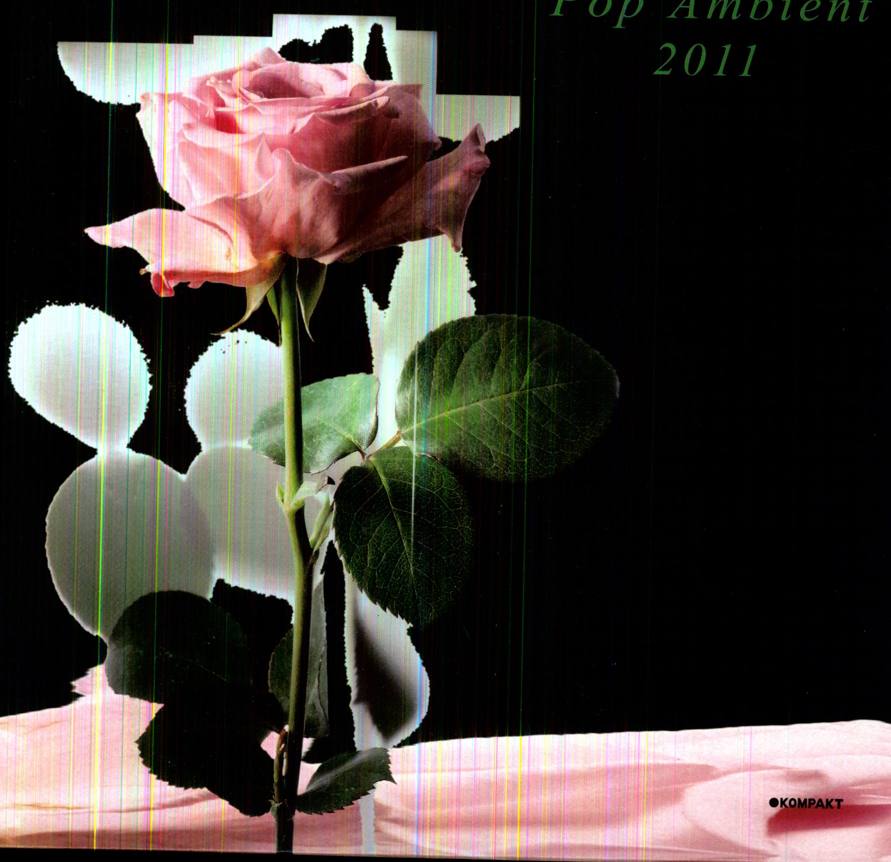 POP AMBIENT 2011/ VARIOUS