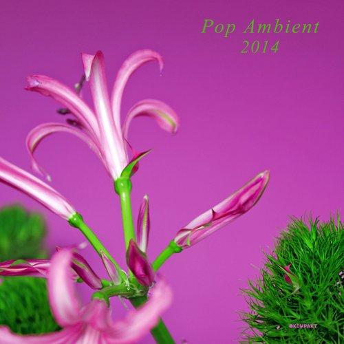 POP AMBIENT 2014 / VARIOUS (W/CD)