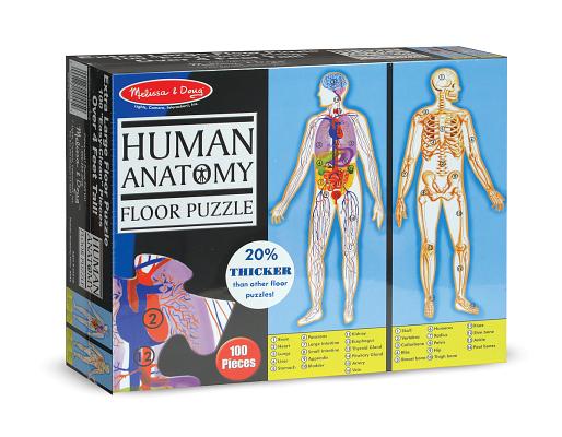 Human Body Floor (100 PC)