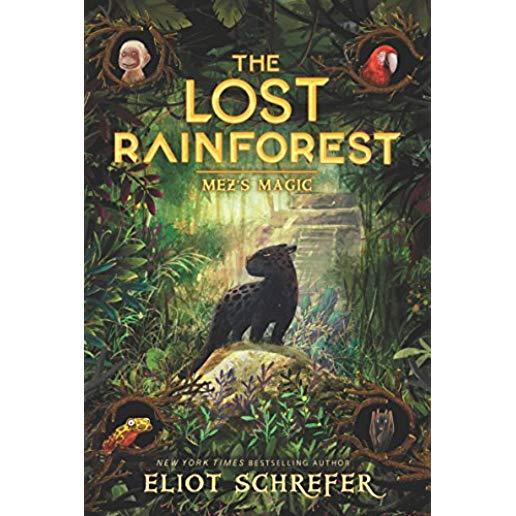 The Lost Rainforest: Mez's Magic