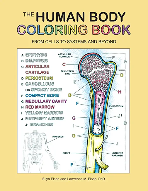 The Human Body Coloring Book: From Cells to Systems and Beyond