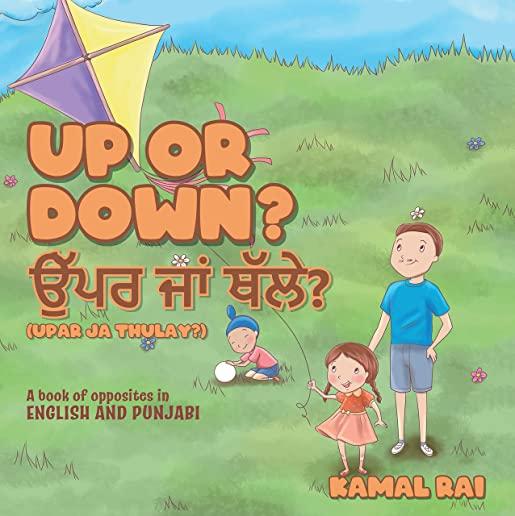 Up or Down? ਉੱਪਰ ਜਾਂ ਥੱਲੇ? (Upar ja Thulay?): A book of opposites in English and Pun