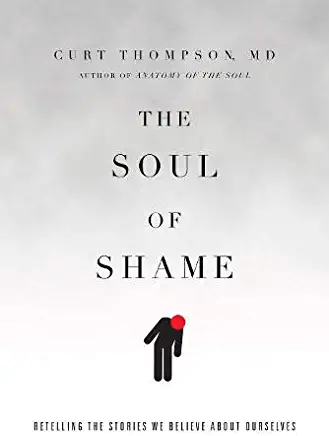 The Soul of Shame: Retelling the Stories We Believe About Ourselves [16pt Large Print Edition]