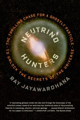 Neutrino Hunters: The Thrilling Chase for a Ghostly Particle to Unlock the Secrets of the Universe