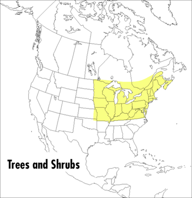 A Field Guide to Trees and Shrubs: Northeastern and North-Central United States and Southeastern and South-Central Canada