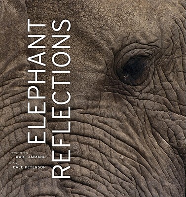 Elephant Reflections