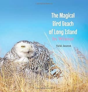 The Magical Bird Beach of Long Island in Winter: A Children's Rhyming Picture Book About the Snowy Owl and Other Winter Birds