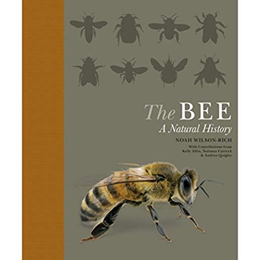 The Bee: A Natural History