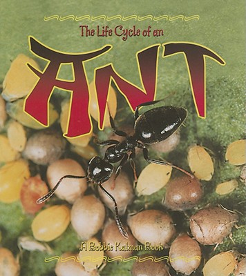 The Life Cycle of an Ant