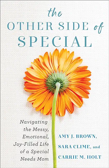 The Other Side of Special: Navigating the Messy, Emotional, Joy-Filled Life of a Special Needs Mom