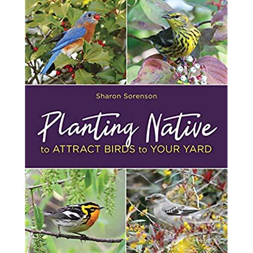 Planting Native to Attract Birds to Your Yard